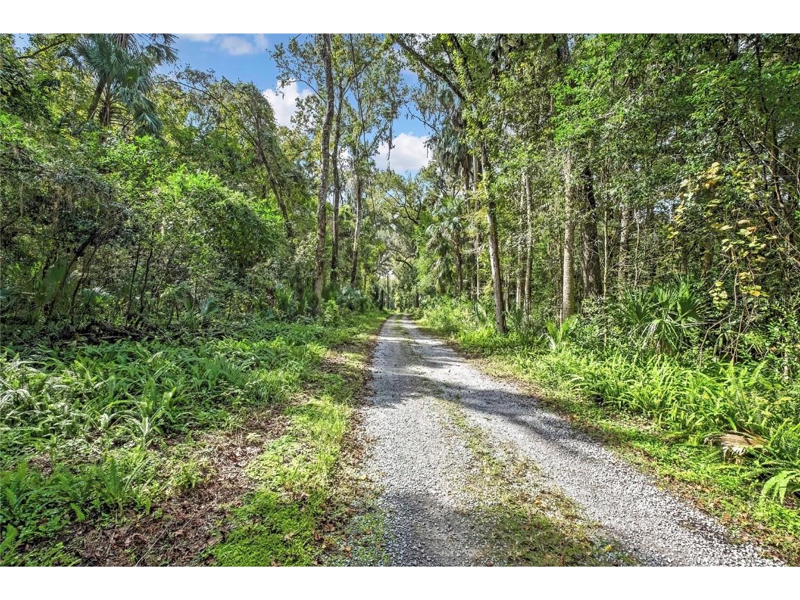 9346 E Sleepy Oak Court Inverness FL 34453 TB8440263 image2