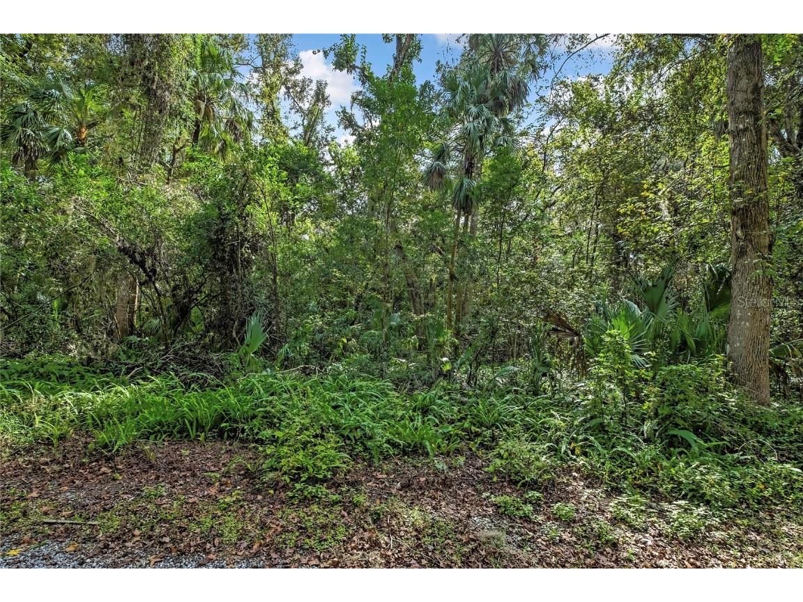 9346 E Sleepy Oak Court Inverness FL 34453 TB8440263 image3