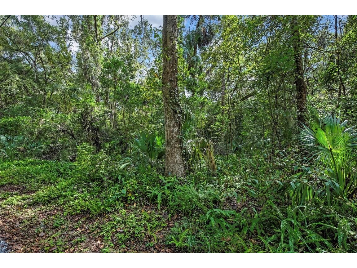 9346 E Sleepy Oak Court Inverness FL 34453 TB8440263 image4