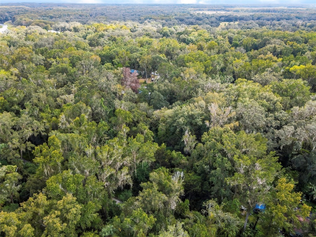 9346 E Sleepy Oak Court Inverness FL 34453 TB8440263 image6