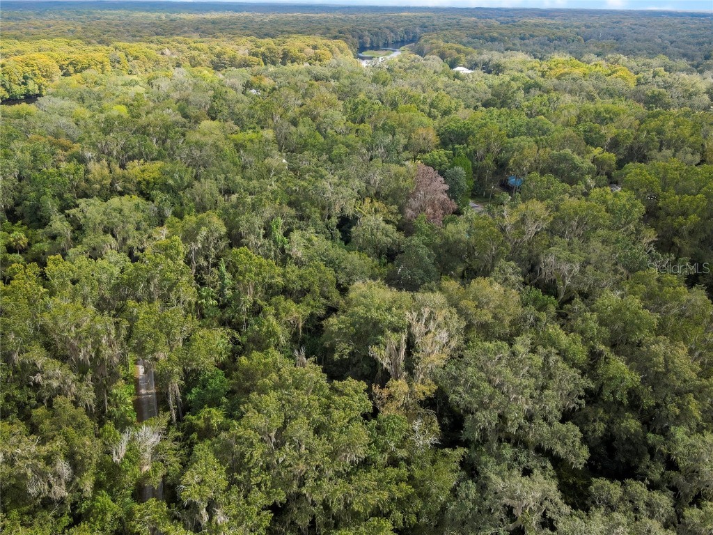 9346 E Sleepy Oak Court Inverness FL 34453 TB8440263 image7