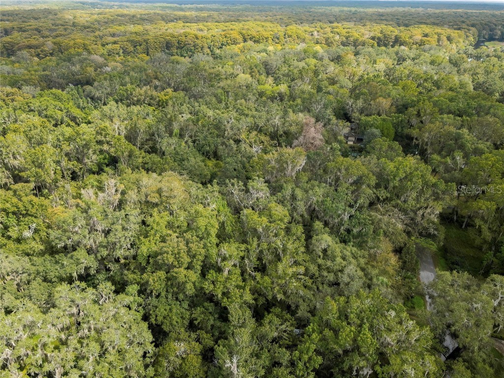 9346 E Sleepy Oak Court Inverness FL 34453 TB8440263 image8