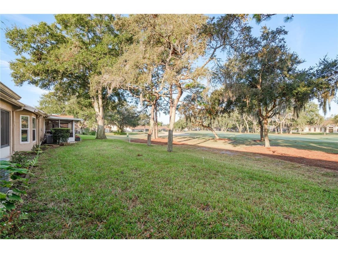 9347 Clearmeadow Lane New Port Richey FL 34655 W7881064 image28