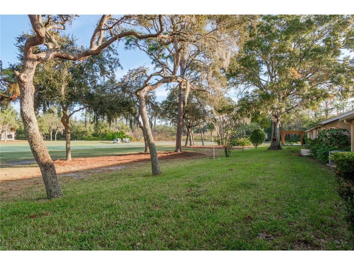 9347 Clearmeadow Lane New Port Richey FL 34655 W7881064 image31