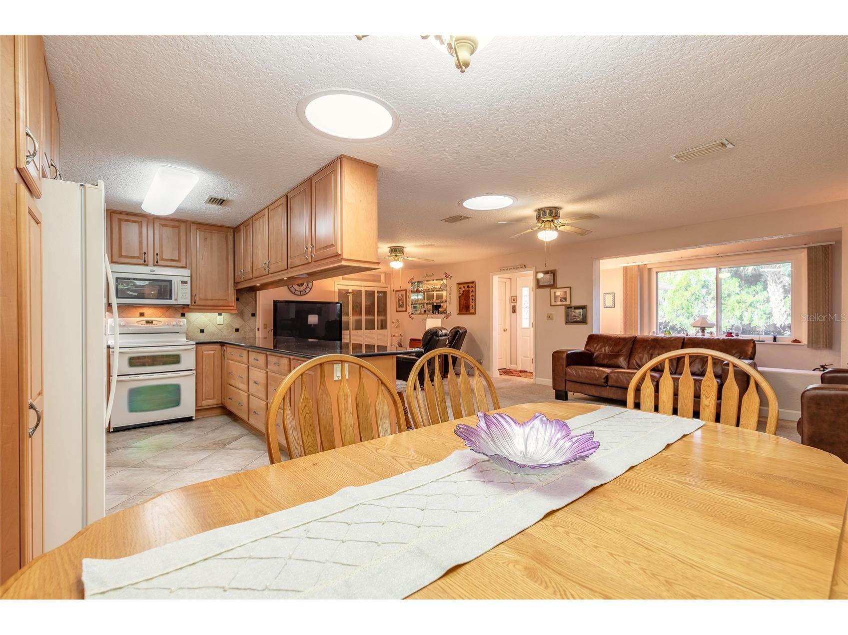 935 Big Tree Road South Daytona FL 32119 V4946491 image11