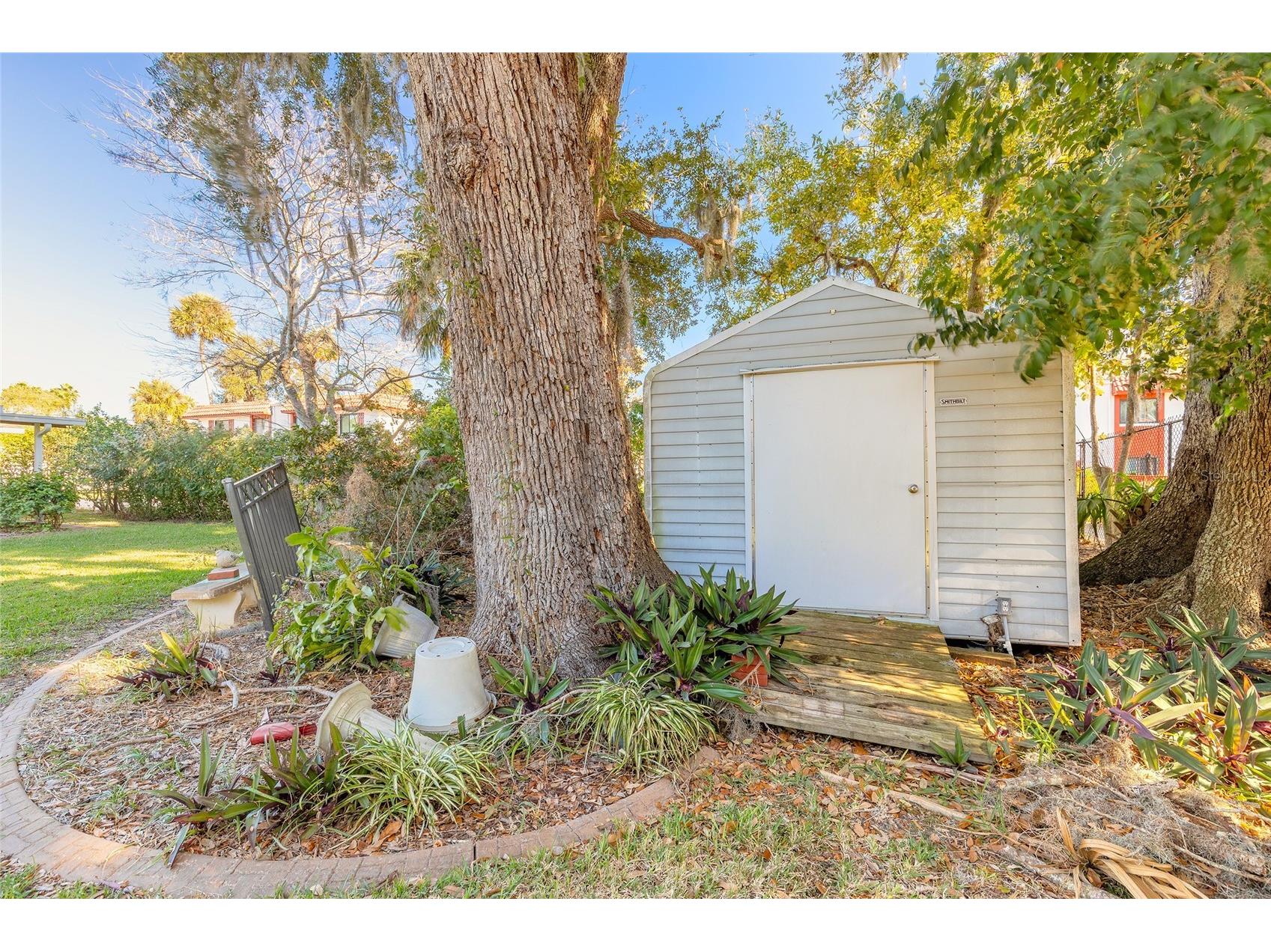 935 Big Tree Road South Daytona FL 32119 V4946491 image5