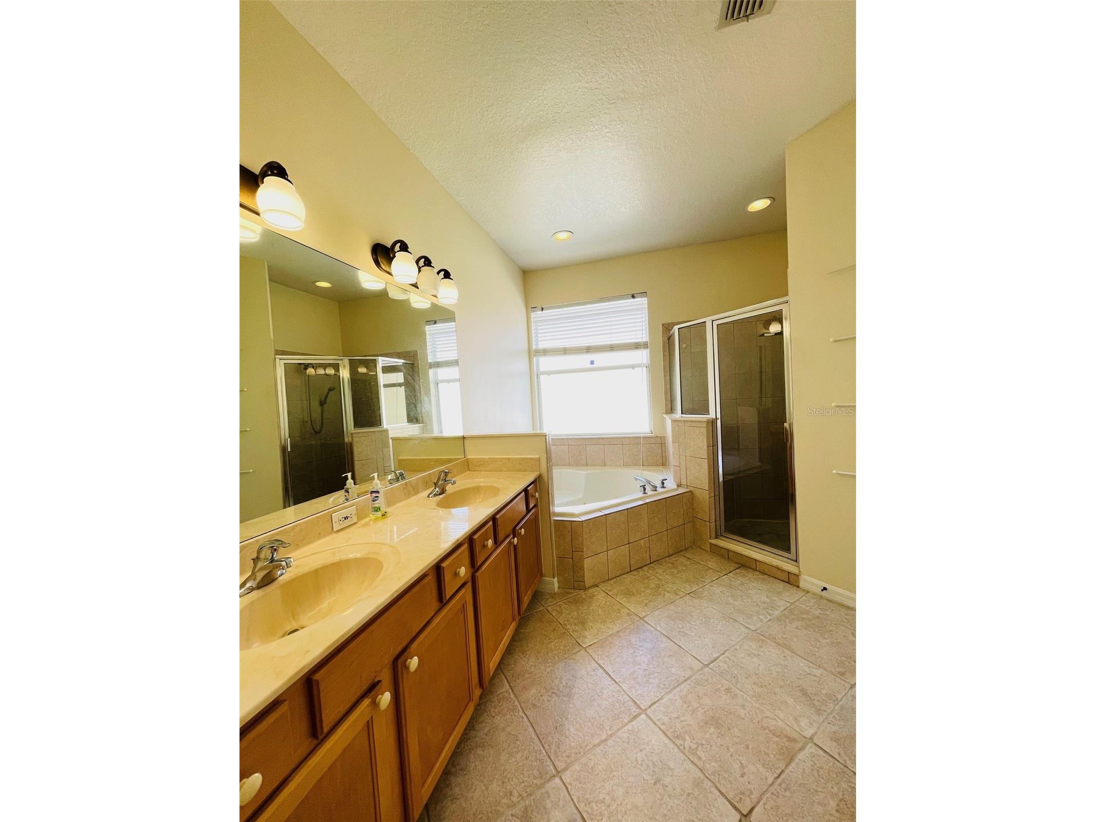 935 Lascala Drive Windermere FL 34786 O6391352 image17