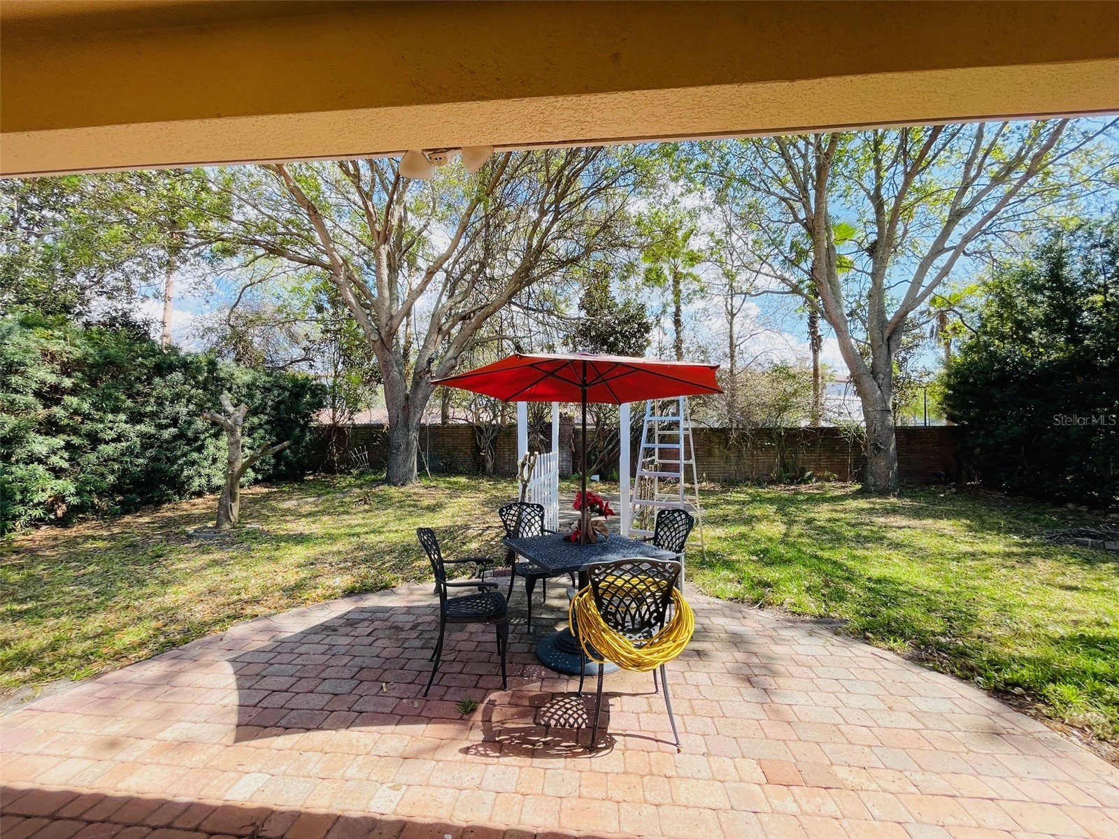 935 Lascala Drive Windermere FL 34786 O6391352 image23