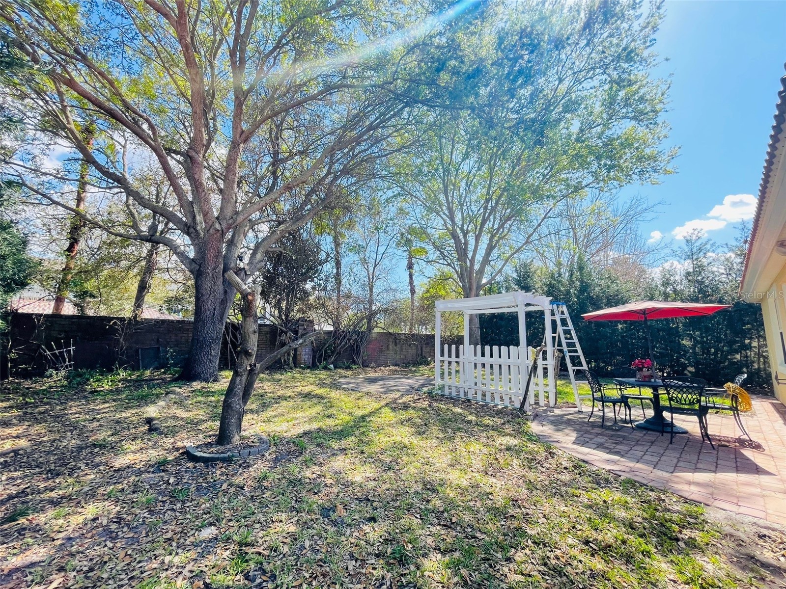 935 Lascala Drive Windermere FL 34786 O6391352 image24