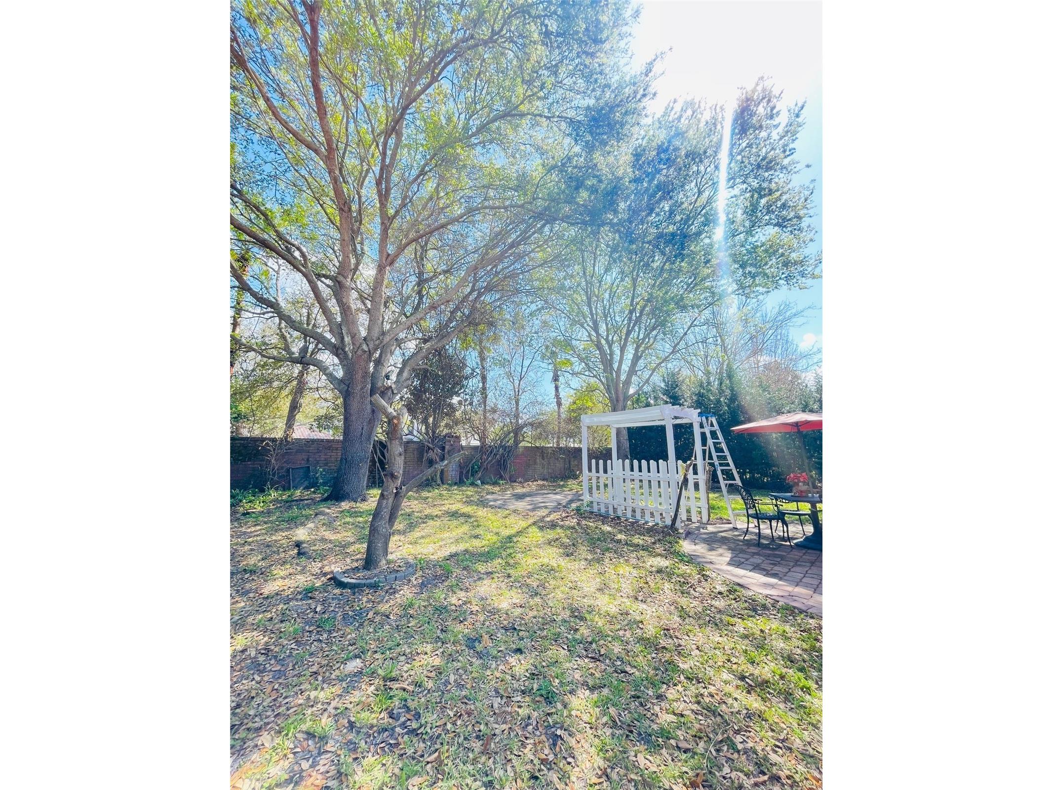 935 Lascala Drive Windermere FL 34786 O6391352 image25