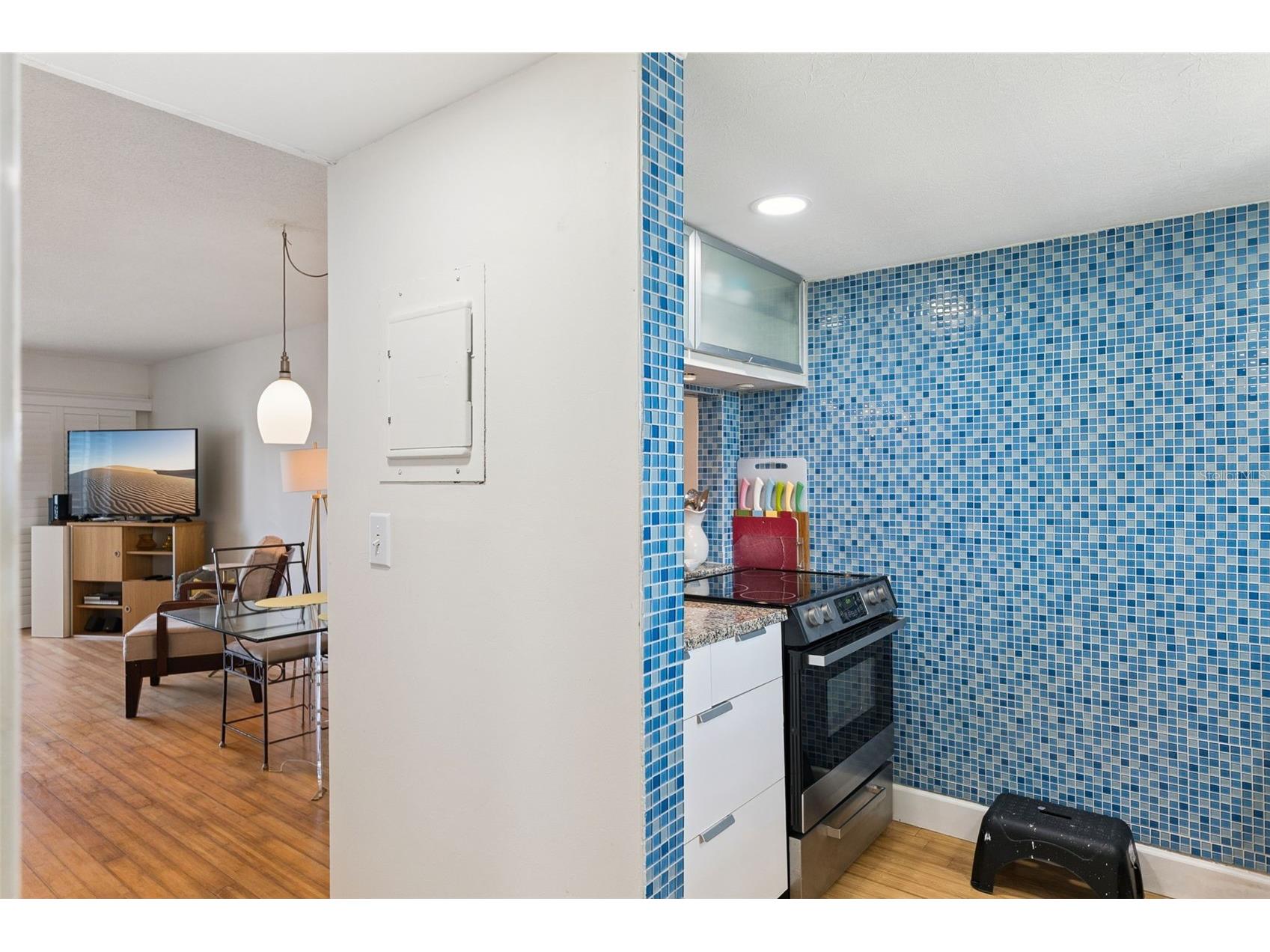 935 Ocean Shore Boulevard #3020 Ormond Beach FL 32176 O6404945 image15