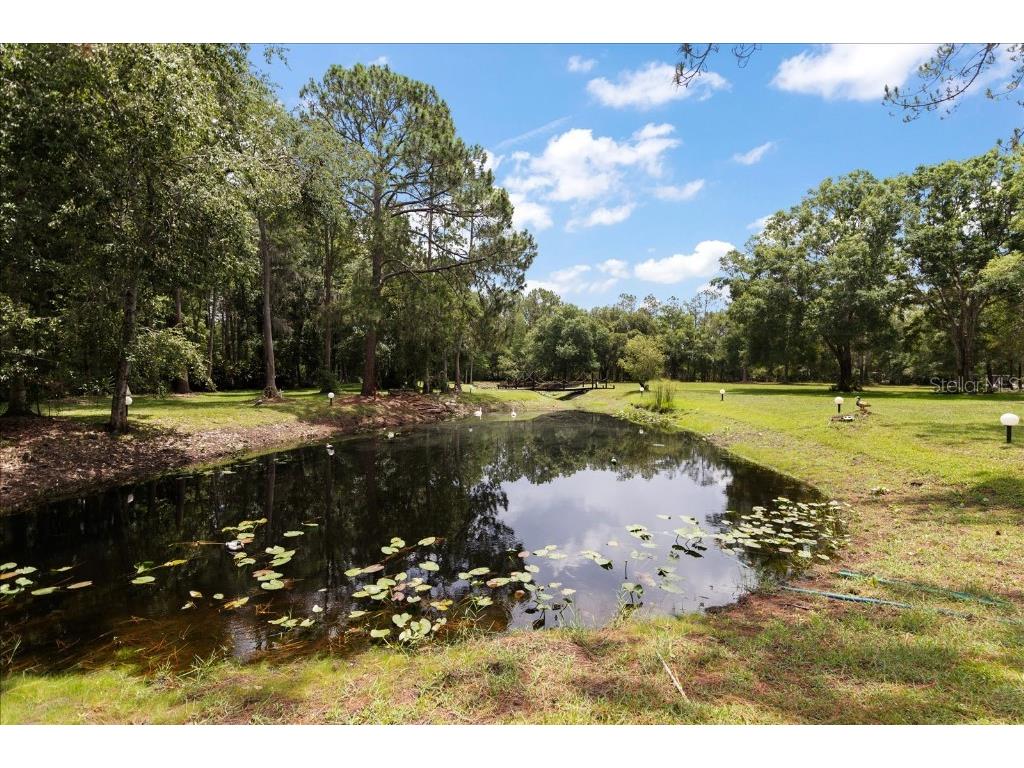 935 Ranch Road Tarpon Springs FL 34688 TB8403410 image2