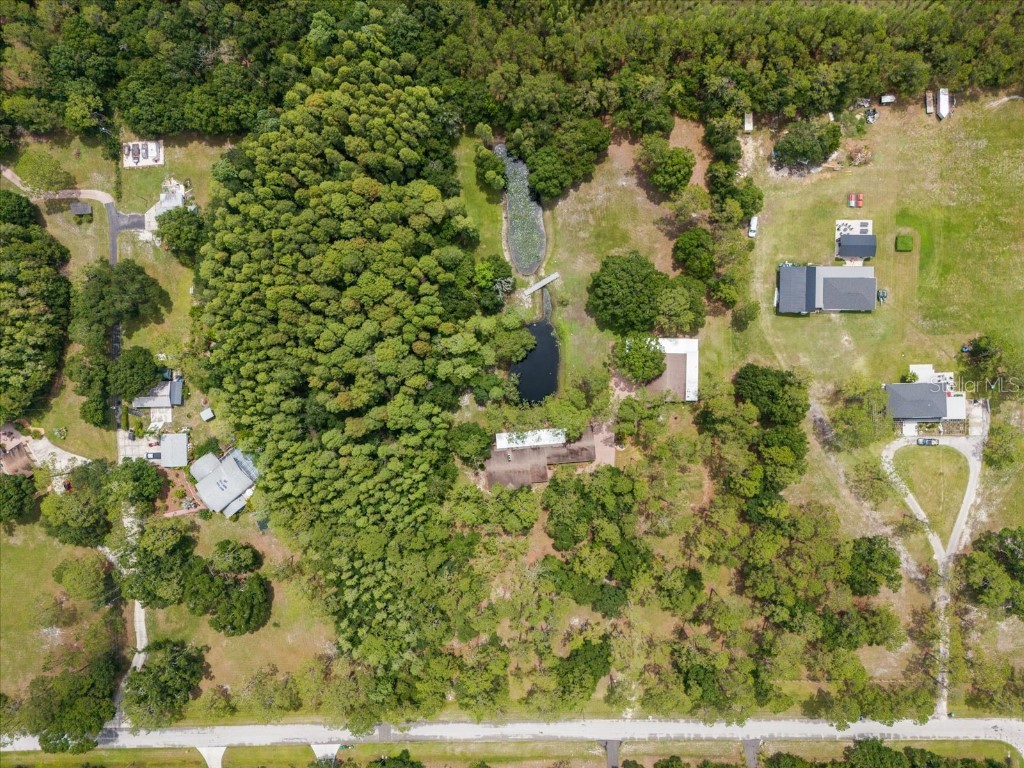 935 Ranch Road Tarpon Springs FL 34688 TB8403410 image3