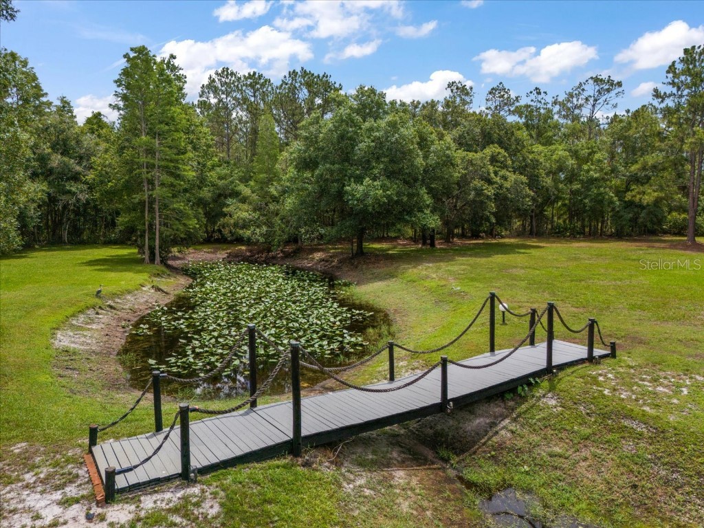 935 Ranch Road Tarpon Springs FL 34688 TB8403410 image6