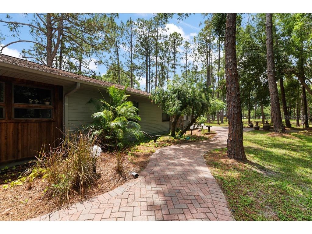 935 Ranch Road Tarpon Springs FL 34688 TB8403410 image8