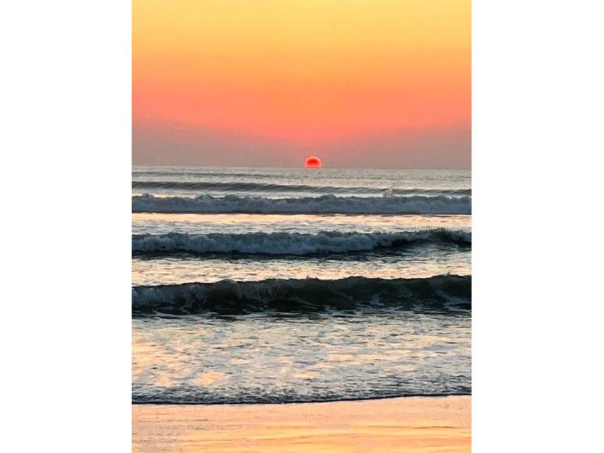 935 S Atlantic Ave #255 Daytona Beach FL 32118 K4903612 image19