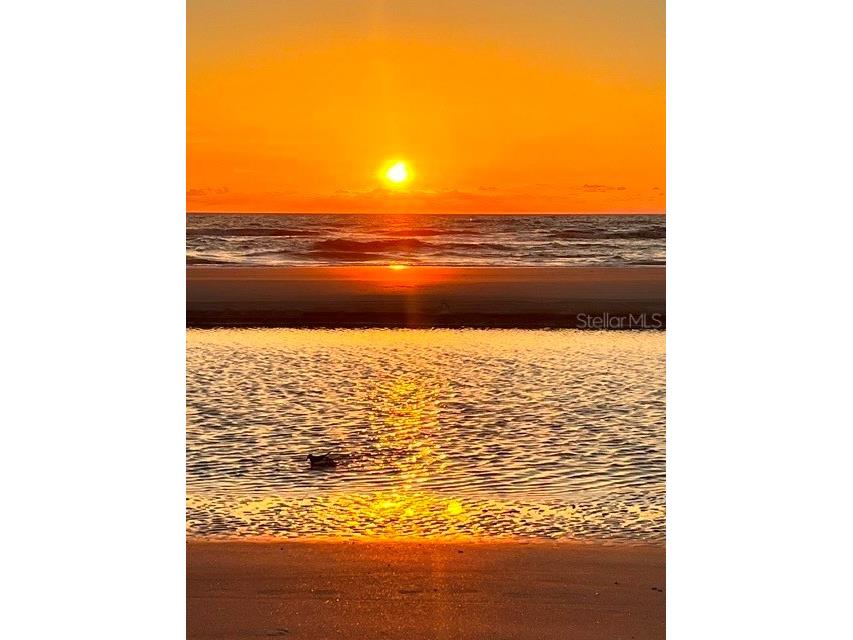 935 S Atlantic Ave #255 Daytona Beach FL 32118 K4903612 image20