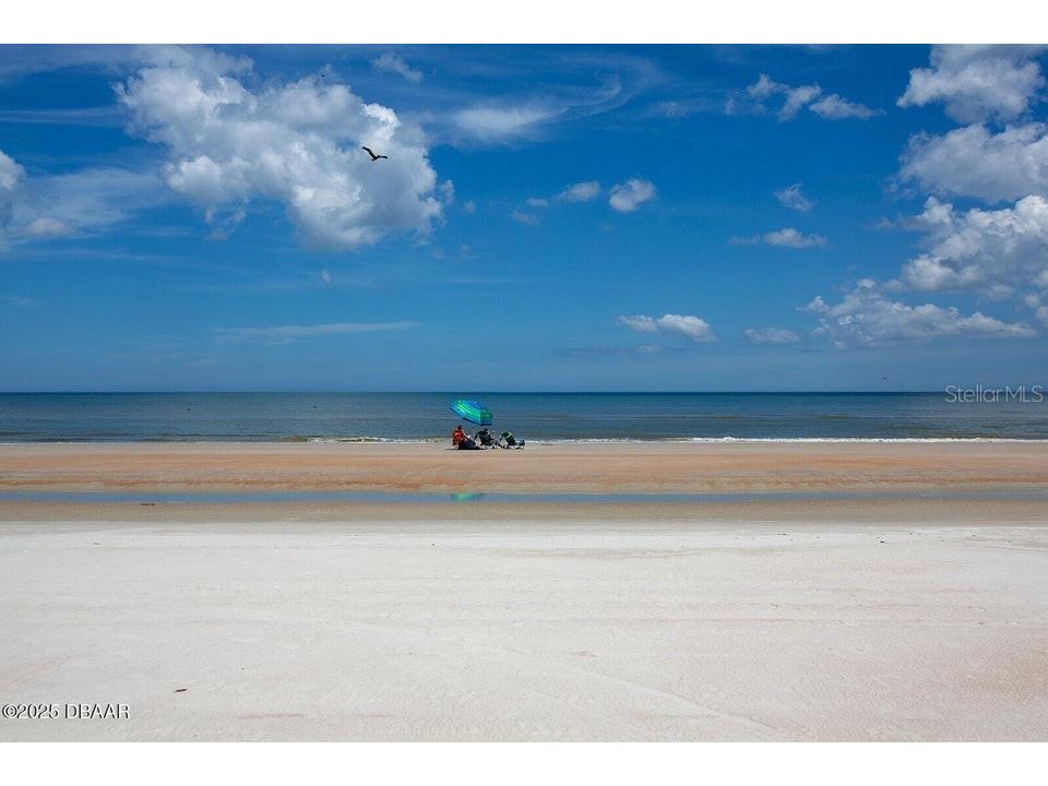 935 S Atlantic Avenue #128 Daytona Beach FL 32118 V4948581 image13