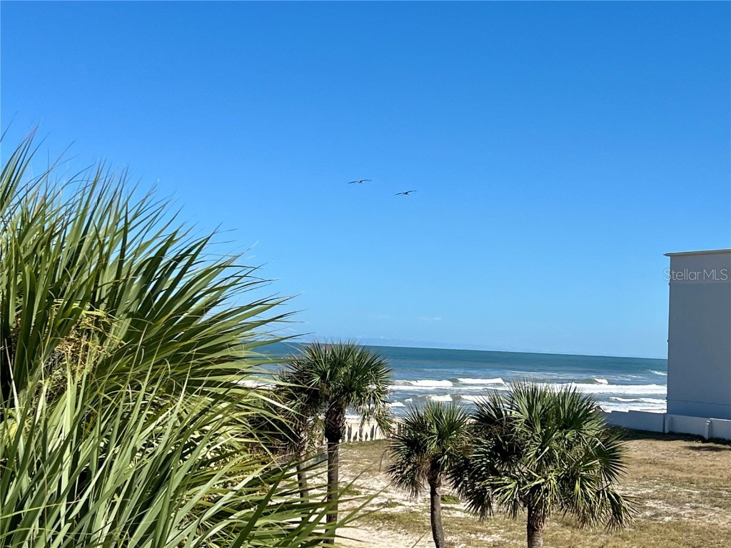 935 S Atlantic Avenue #303 Daytona Beach FL 32118 FC313480 image4