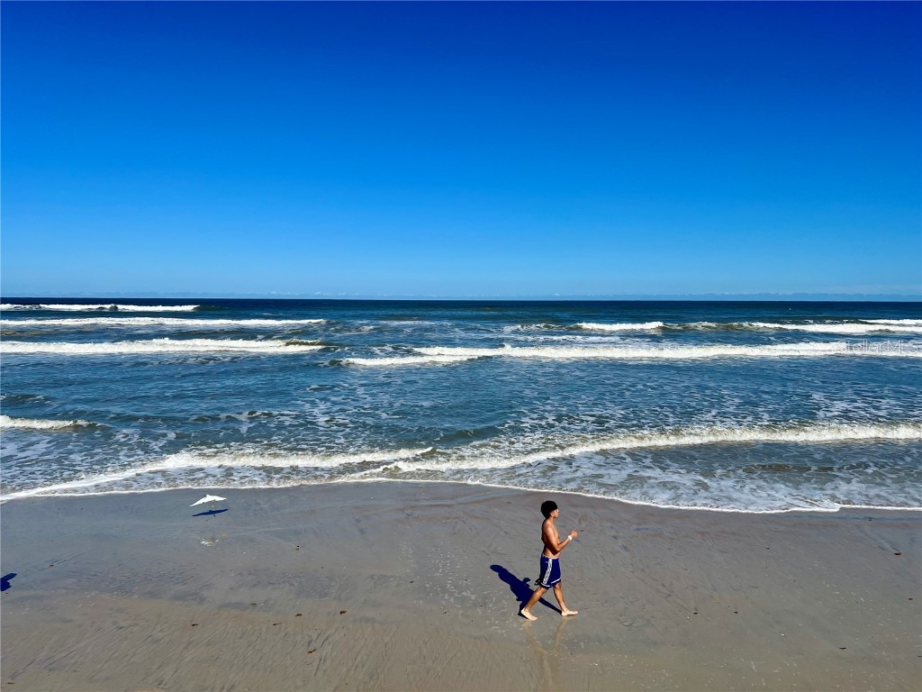 935 S Atlantic Avenue #303 Daytona Beach FL 32118 FC313480 image8