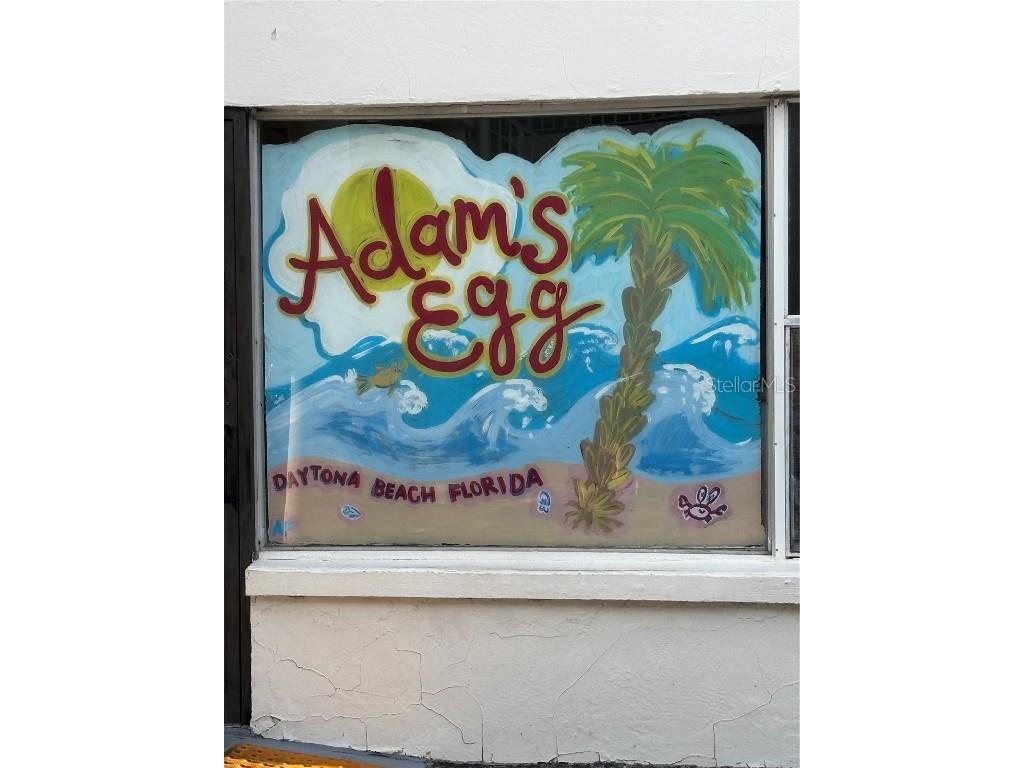 935 S Atlantic Avenue #364 Daytona Beach FL 32118 V4942098 image25