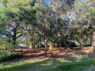 935 S Brisson Terrace Inverness FL 34450 T3451407 image1