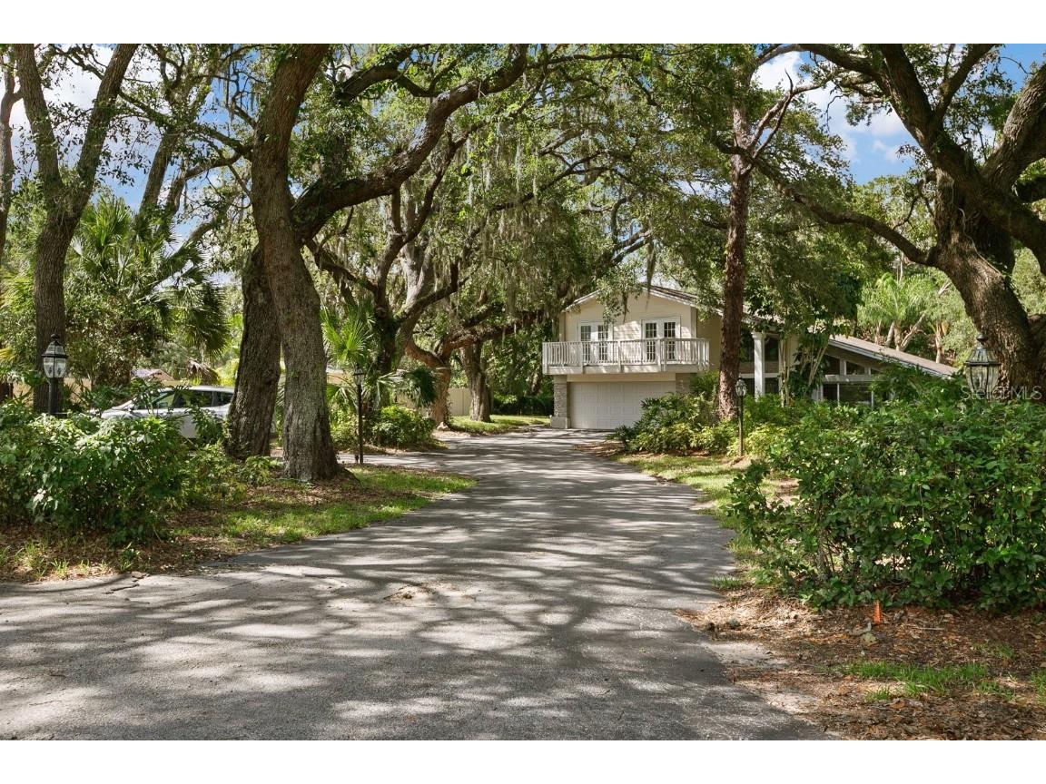 9350 Yellow Lake Drive New Port Richey FL 34654 T3536748 image1