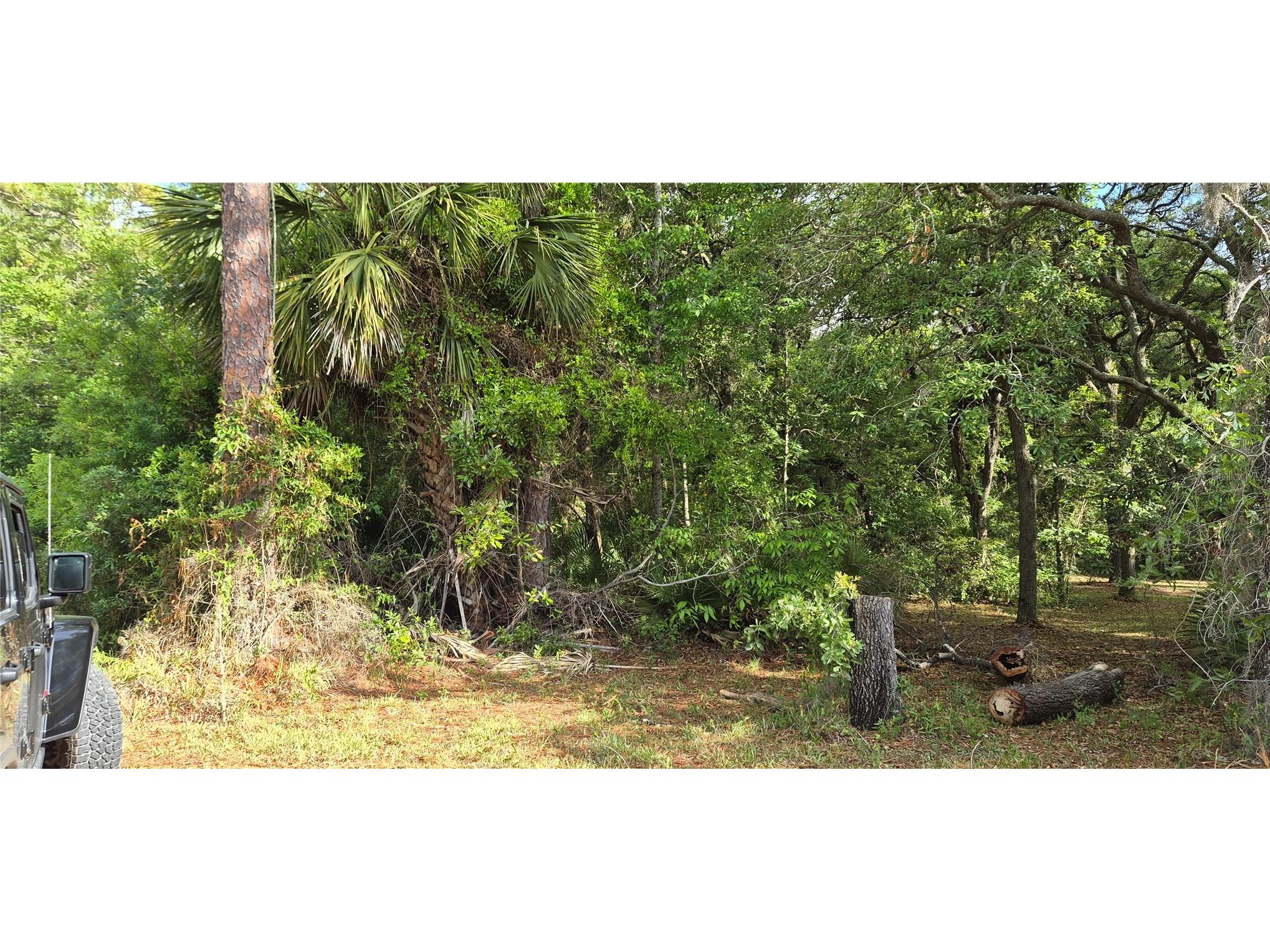 9351 NW 120th Street Chiefland FL 32626 GC540014 image1
