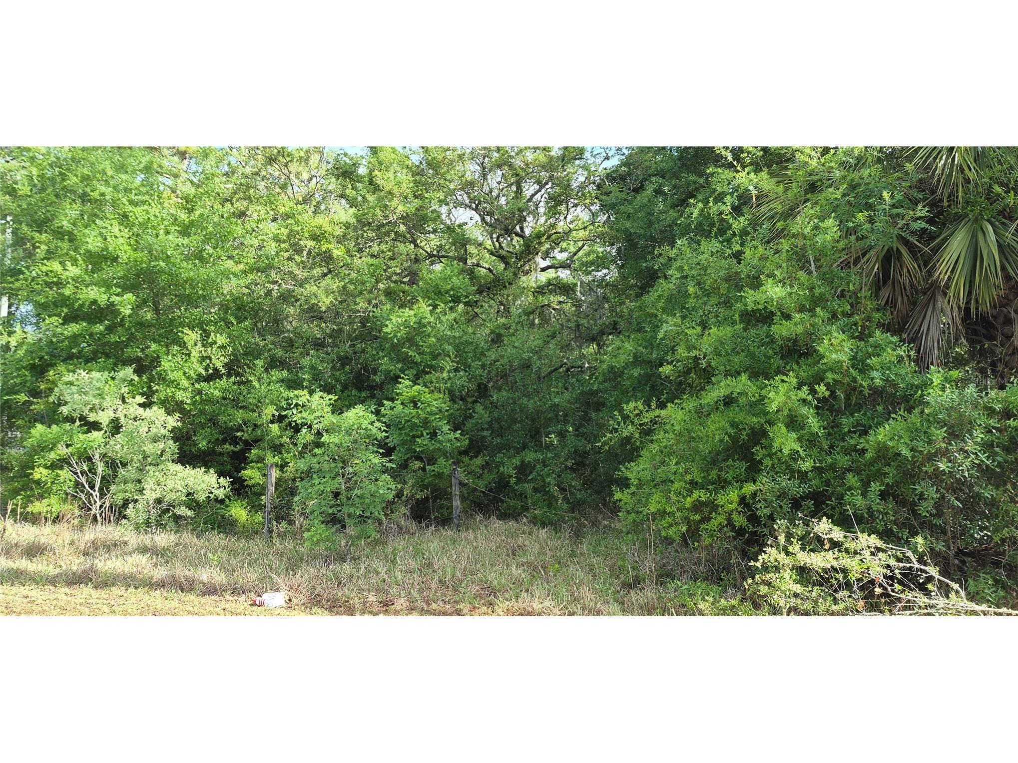 9351 NW 120th Street Chiefland FL 32626 GC540014 image3