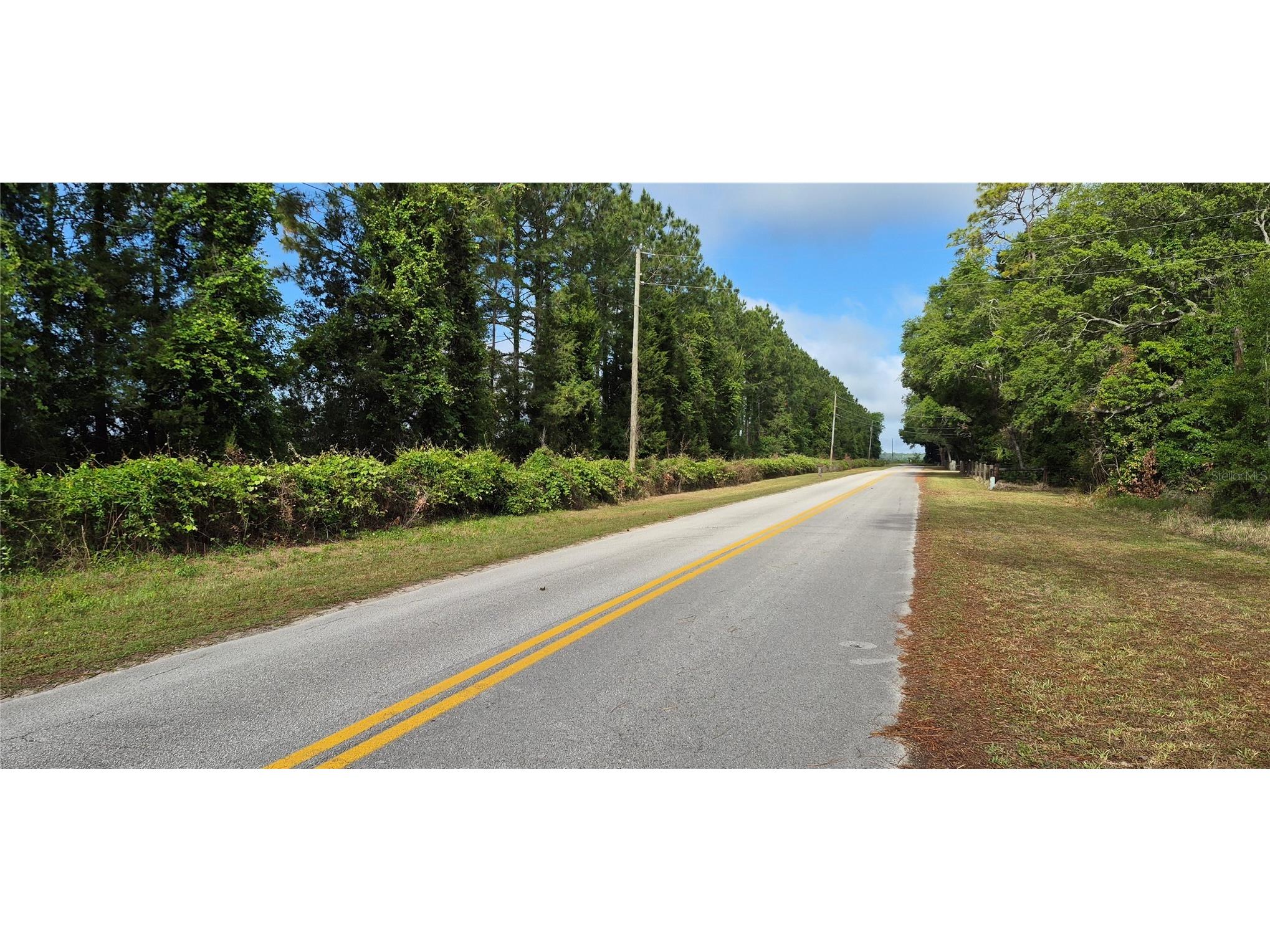 9351 NW 120th Street Chiefland FL 32626 GC540014 image6