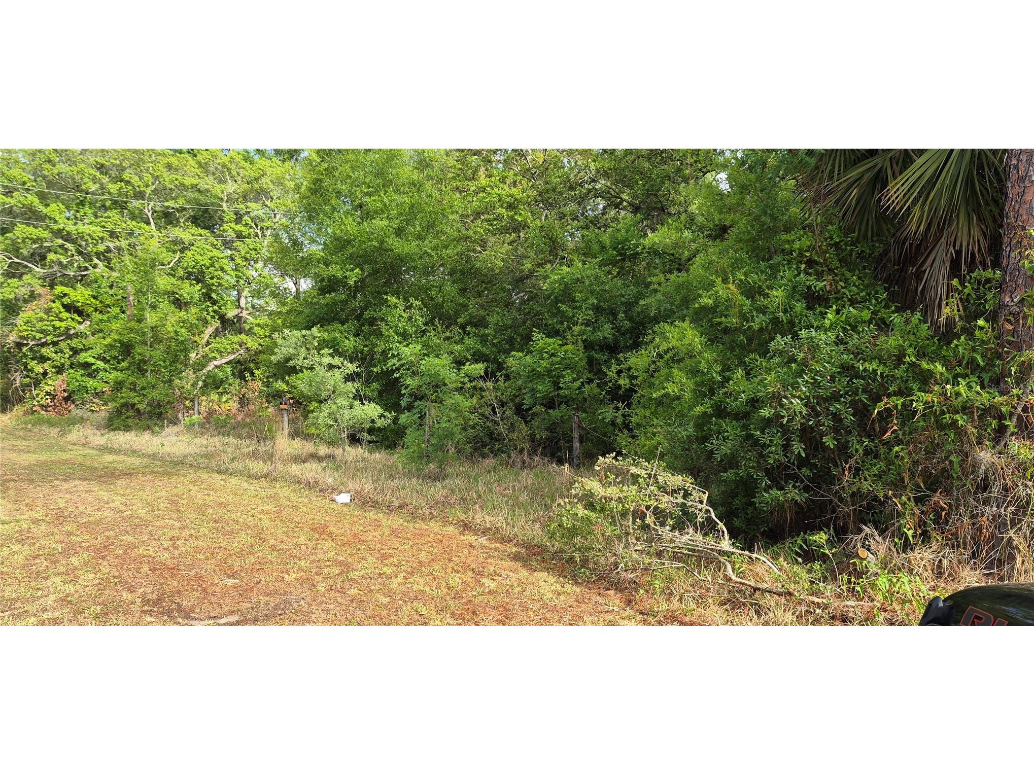 9351 NW 120th Street Chiefland FL 32626 GC540014 image9