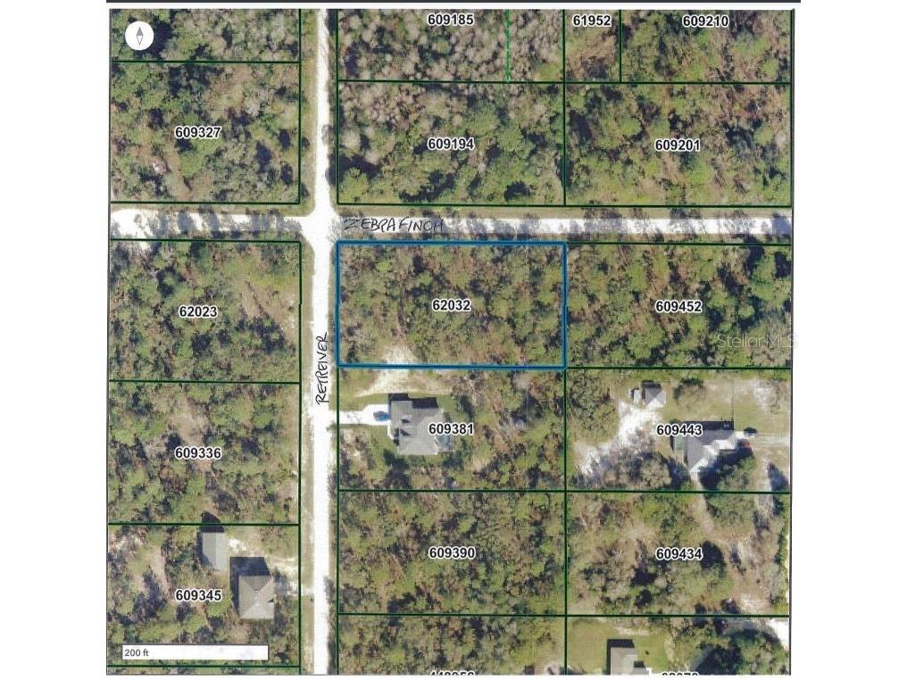 9352 Zebrafinch Avenue Weeki Wachee FL 34614 W7868889 image1