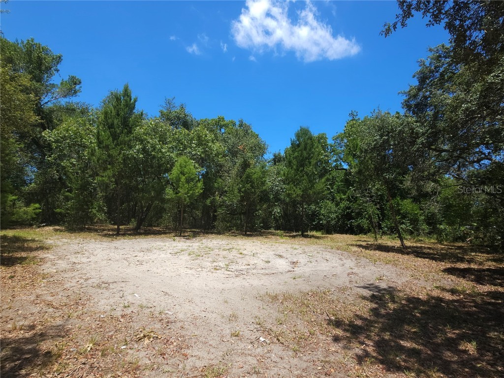 9353 Adler Street New Port Richey FL 34654 A4574040 image1