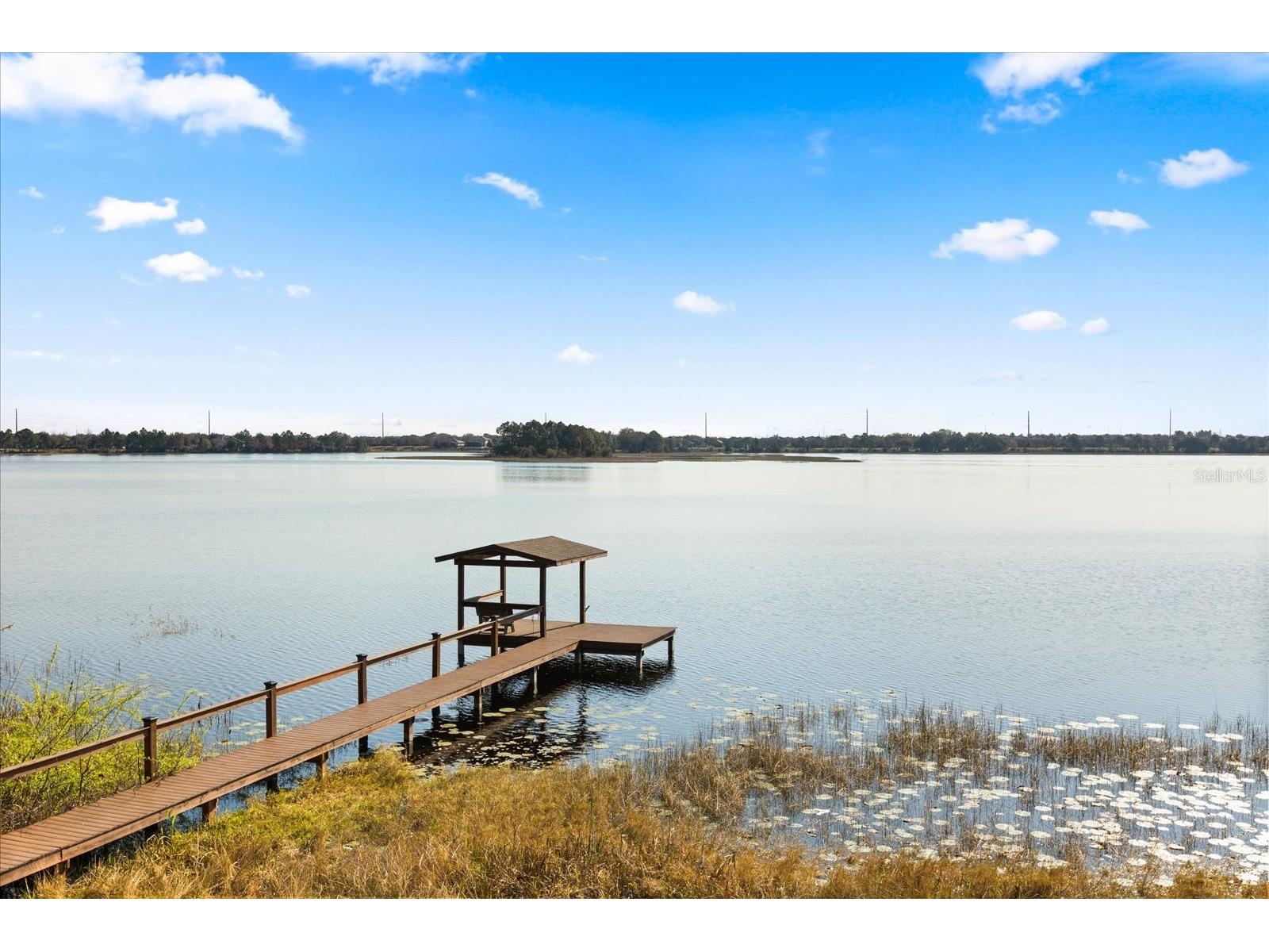 9354 Lake Hickory Nut Drive Winter Garden FL 34787 - LAKE HICKORY NUT O6385808 image3