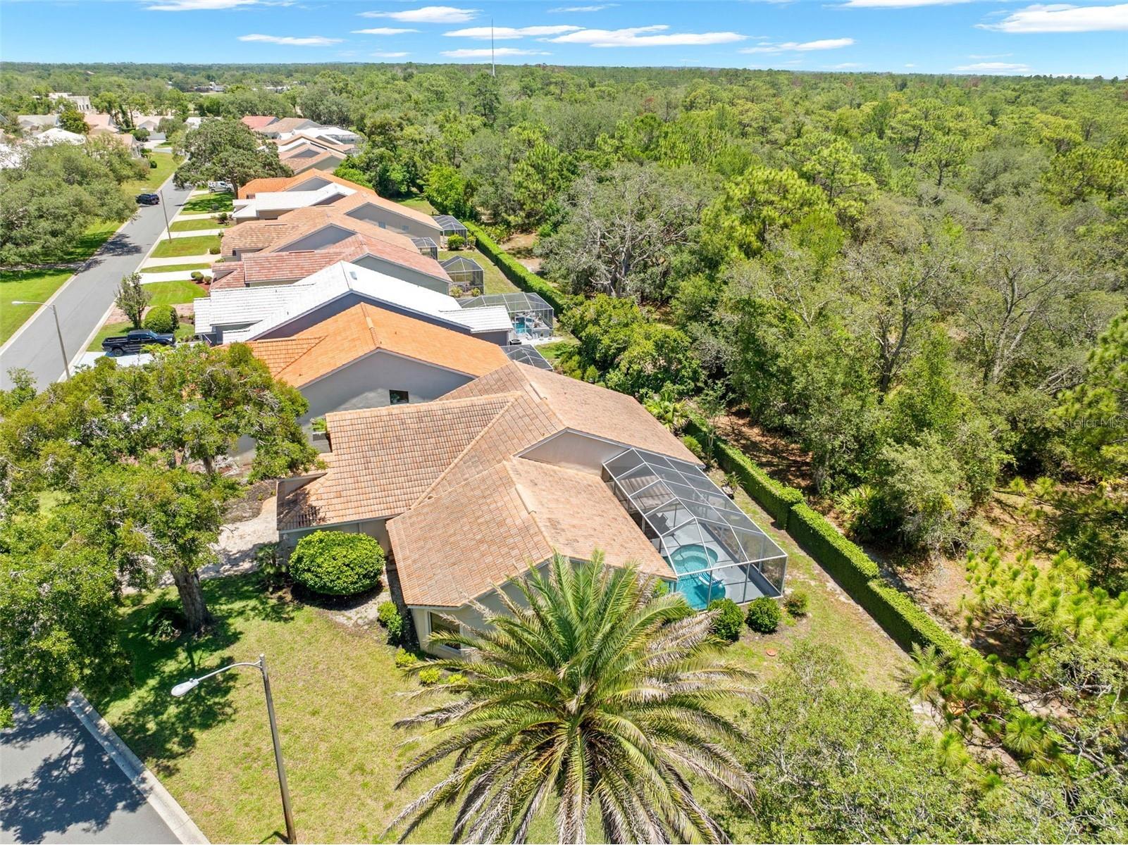 9354 Mississippi Run Weeki Wachee FL 34613 TB8519467 image18
