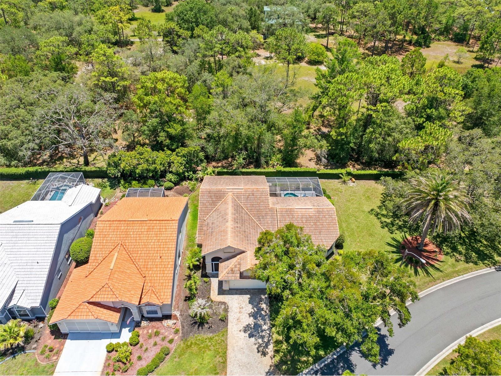 9354 Mississippi Run Weeki Wachee FL 34613 TB8519467 image31