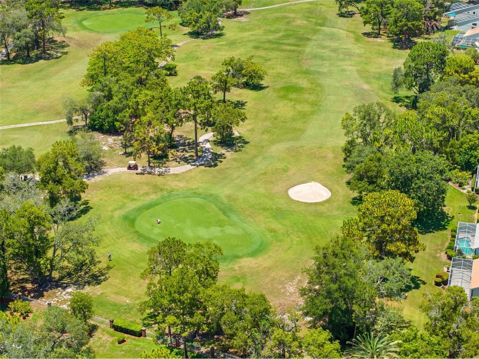 9354 Mississippi Run Weeki Wachee FL 34613 TB8519467 image72
