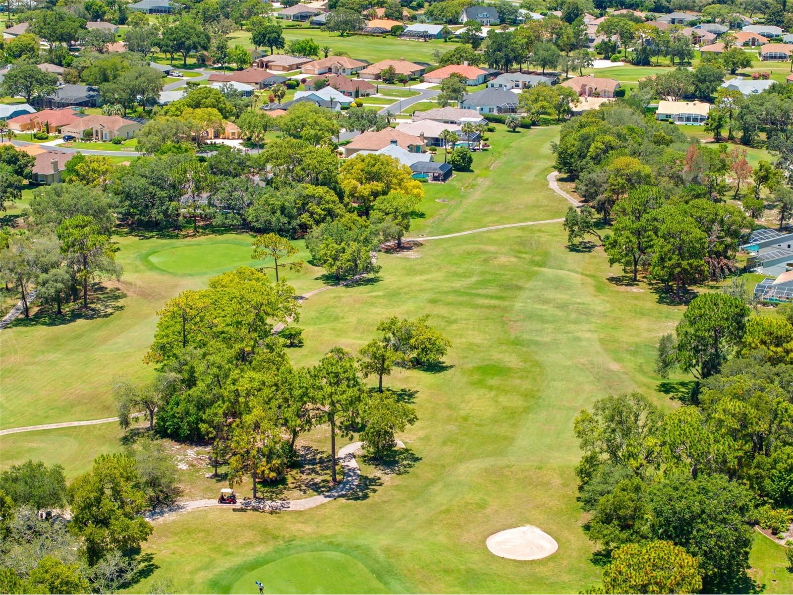 9354 Mississippi Run Weeki Wachee FL 34613 TB8519467 image73