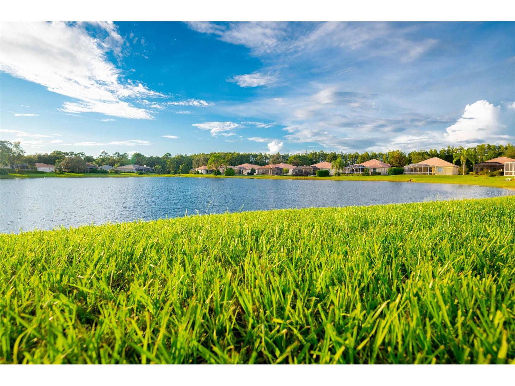 9354 Mississippi Run Weeki Wachee FL 34613 TB8519467 image78