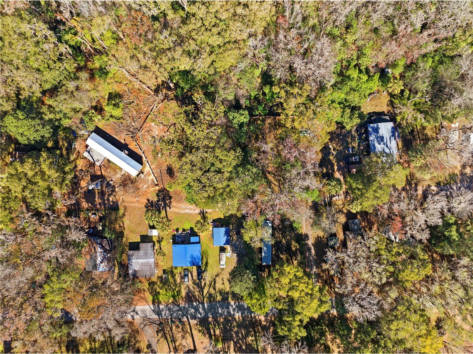 9355 E Tin Pan Alley Inverness FL 34453 TB8469550 image10