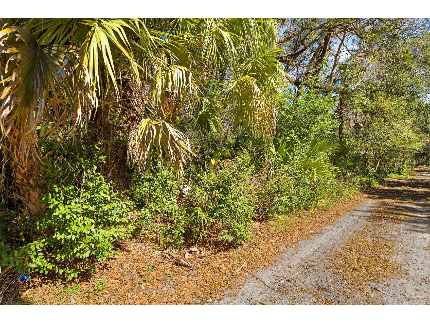 9355 E Tin Pan Alley Inverness FL 34453 TB8469550 image14