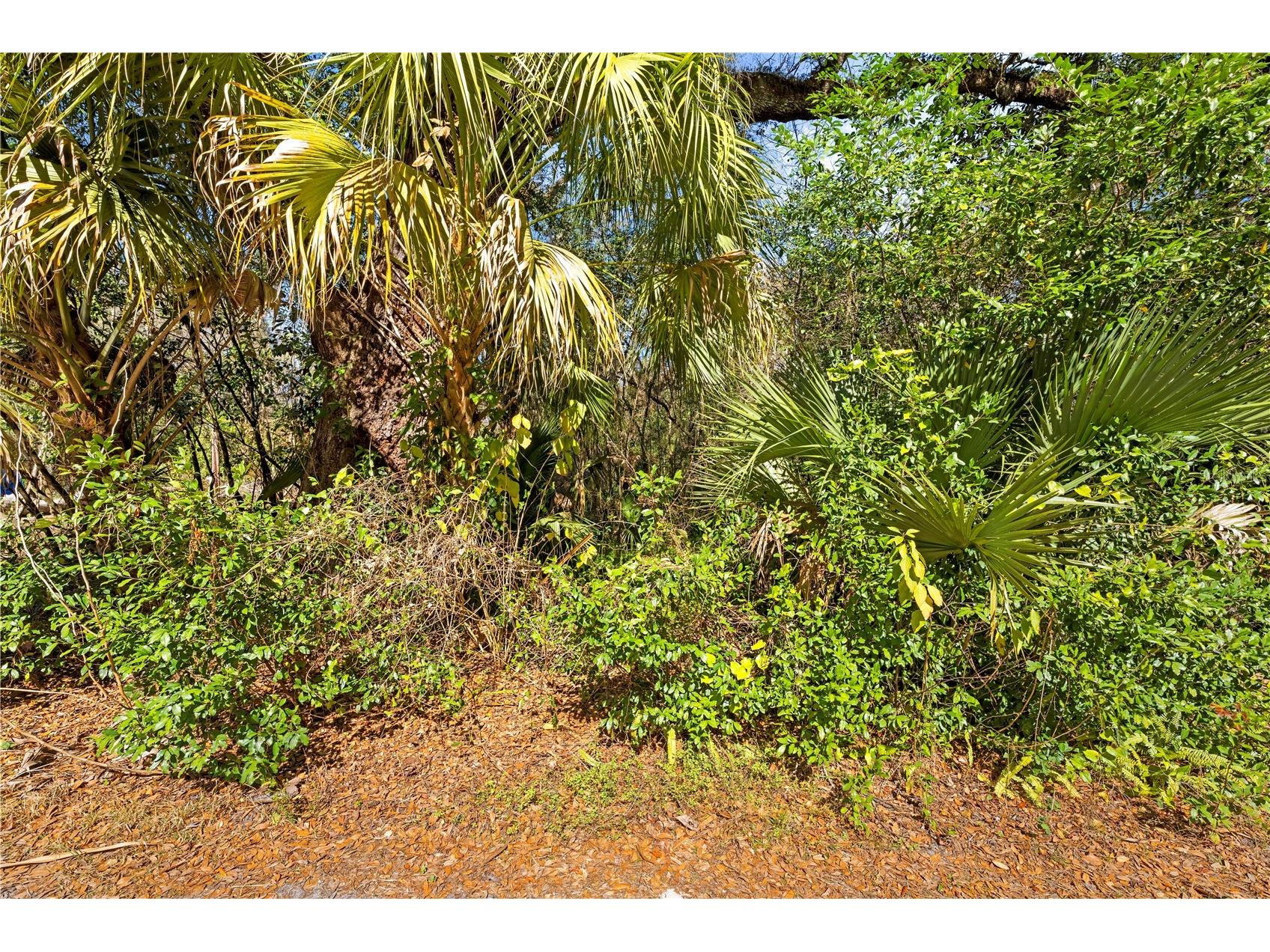 9355 E Tin Pan Alley Inverness FL 34453 TB8469550 image15