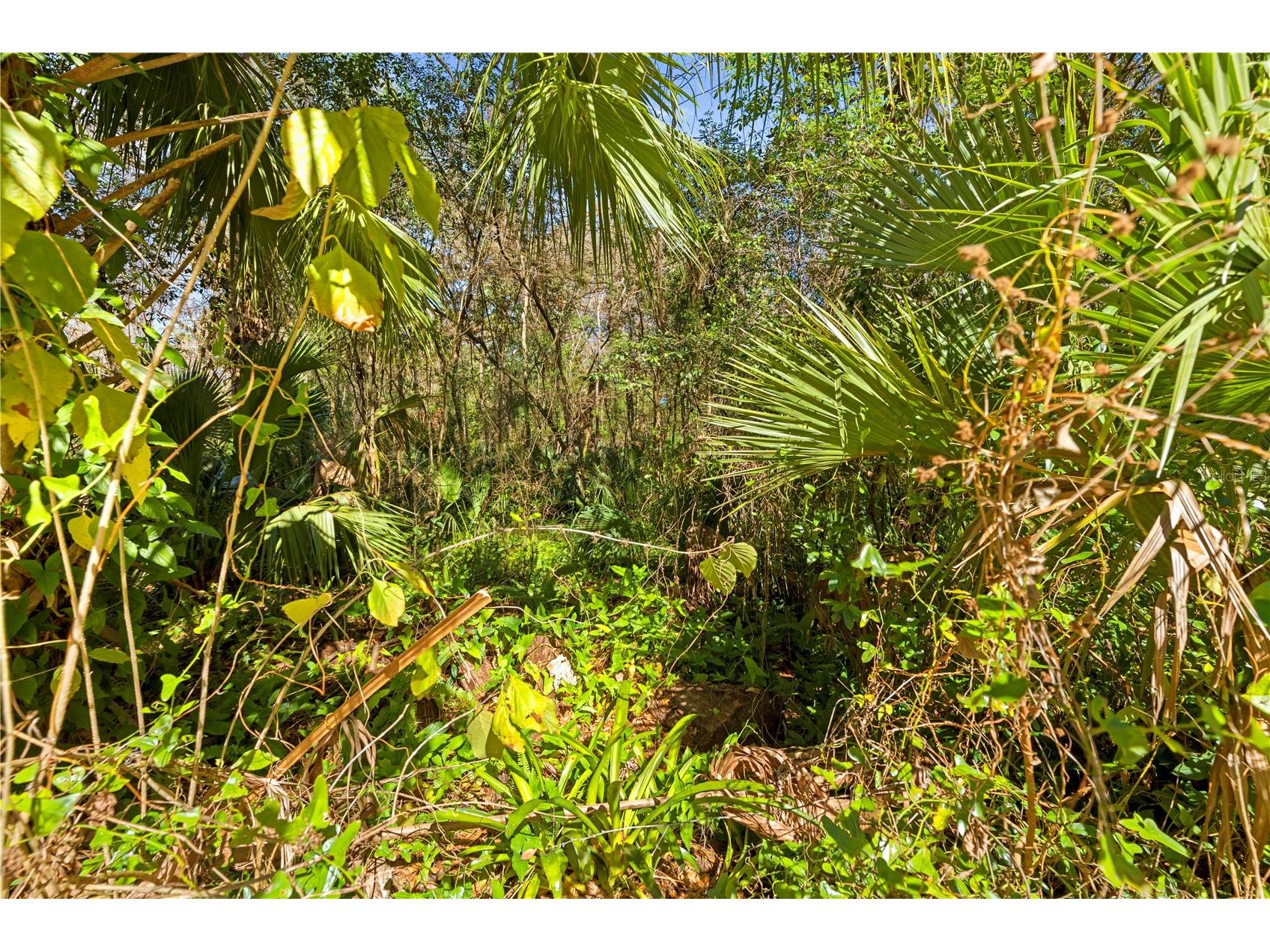 9355 E Tin Pan Alley Inverness FL 34453 TB8469550 image16