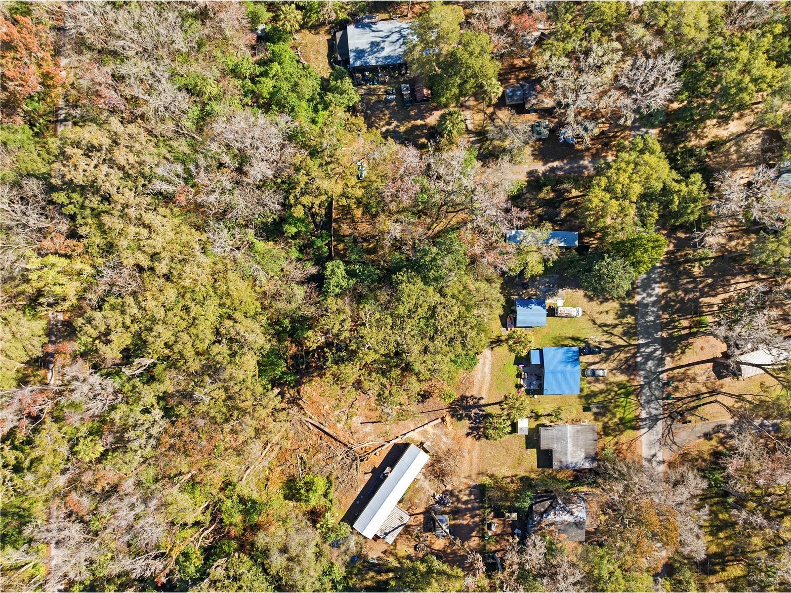 9355 E Tin Pan Alley Inverness FL 34453 TB8469550 image4