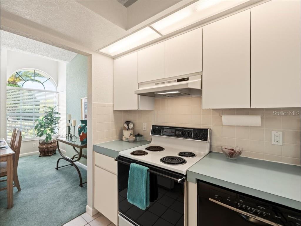 9355 French Quarters Circle Weeki Wachee FL 34613 W7874959 image27