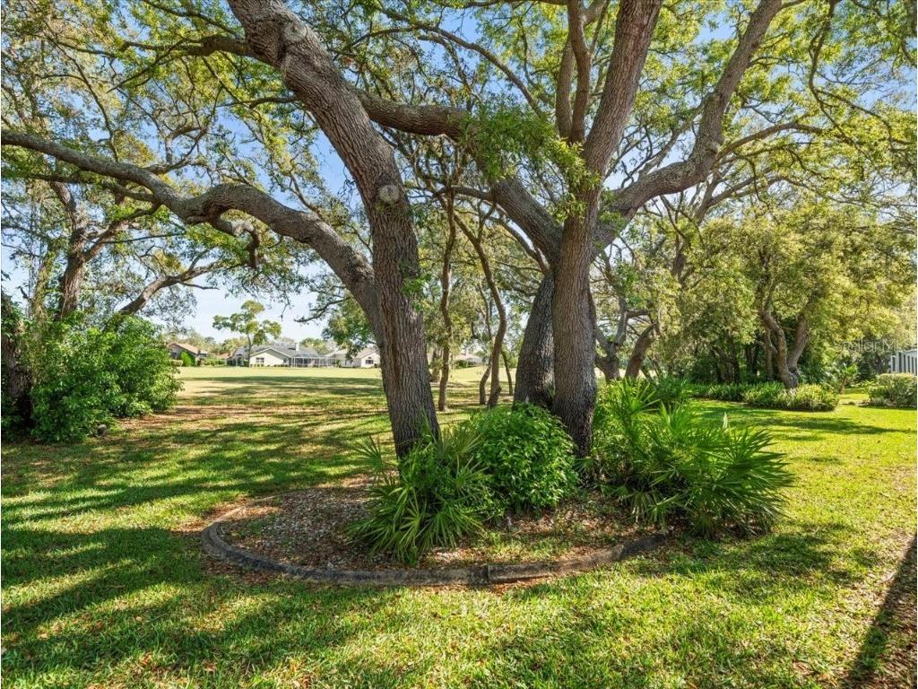 9355 French Quarters Circle Weeki Wachee FL 34613 W7874959 image47