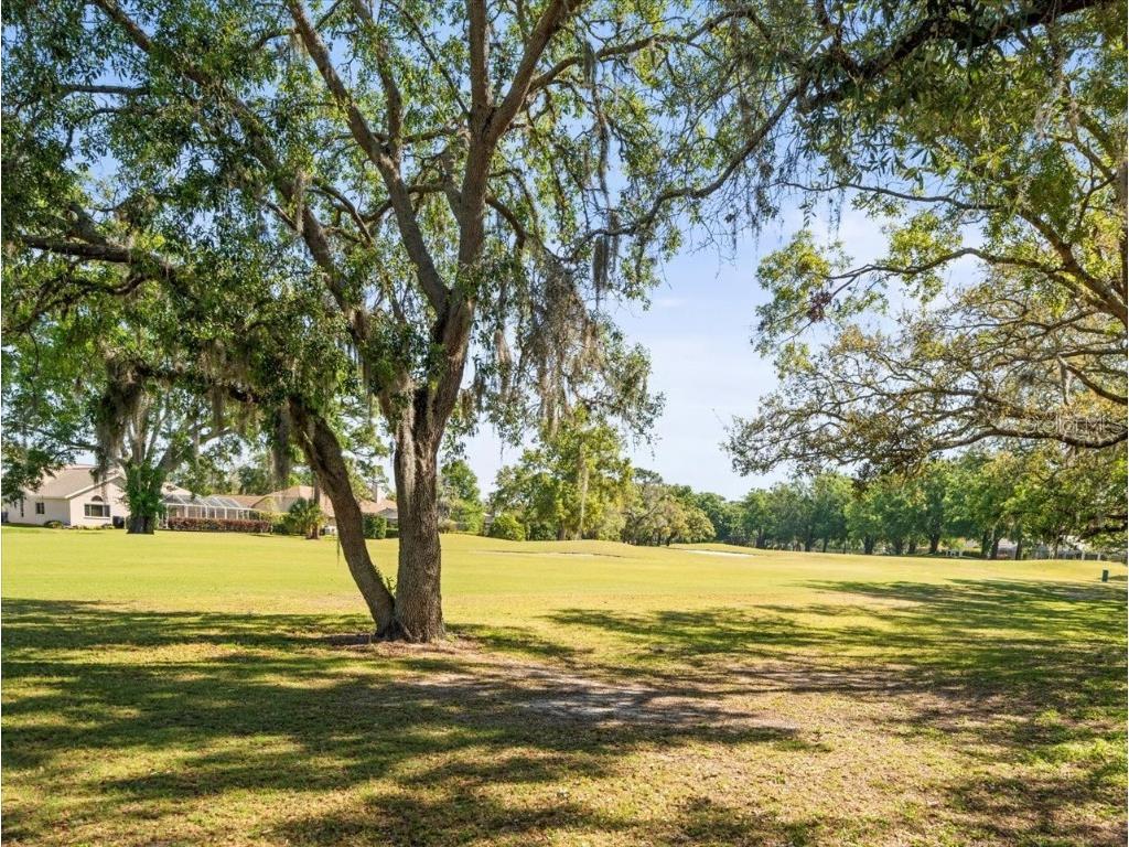 9355 French Quarters Circle Weeki Wachee FL 34613 W7874959 image50