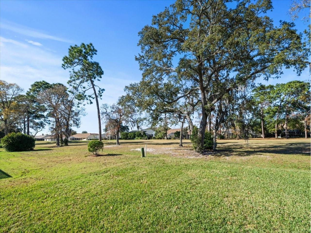 9355 Merriweather Drive Weeki Wachee FL 34613 W7887153 image51