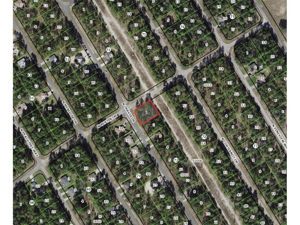 9355 N Travis Drive Citrus Springs FL 34434 G5051011 image1