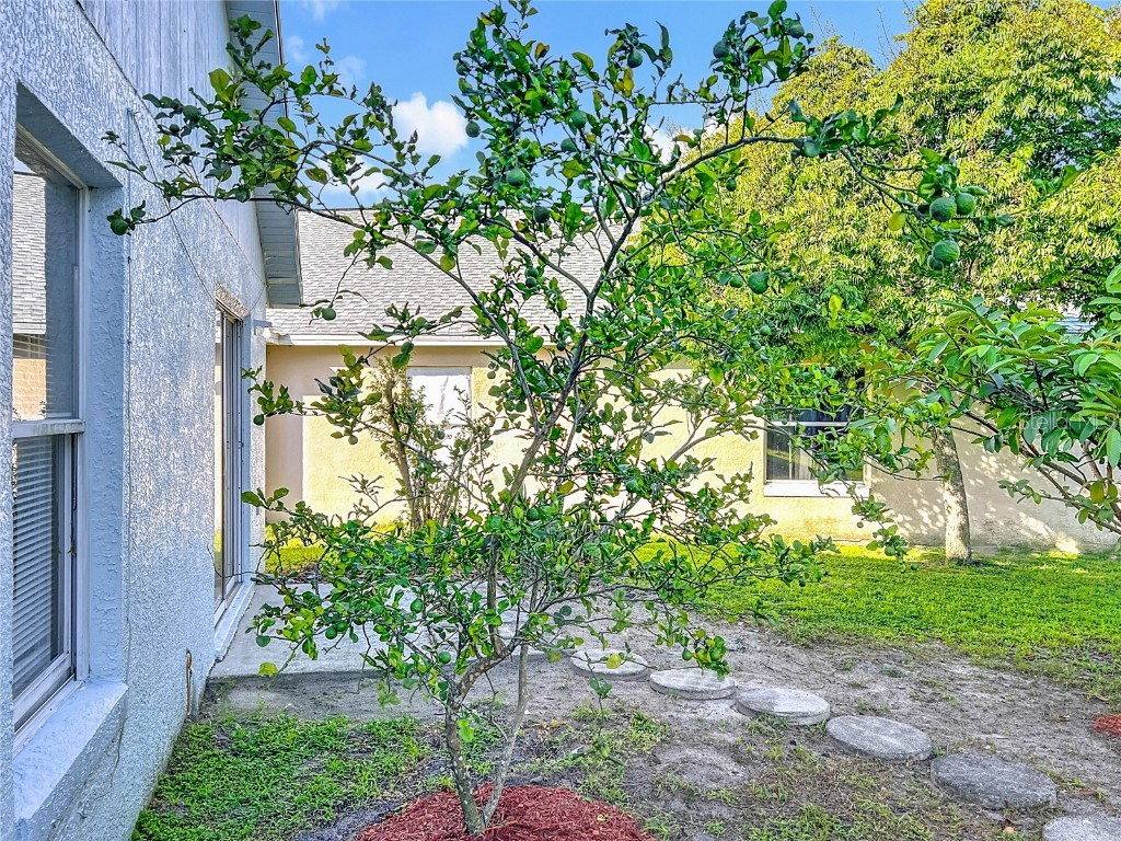 9355 Telfer Run Orlando FL 32817 - LAKE TELFER O6339930 image41